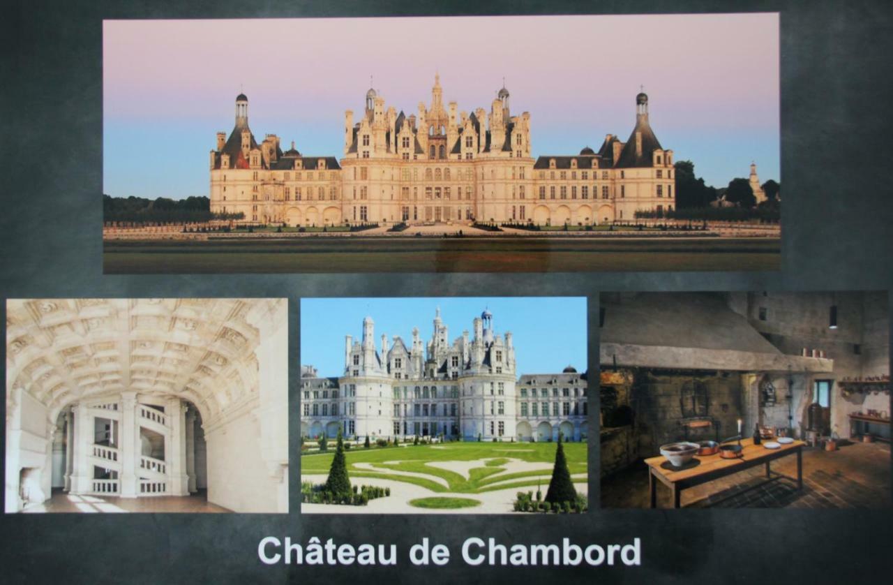 Sur Les Toits D'Amboise Apartment エクステリア 写真